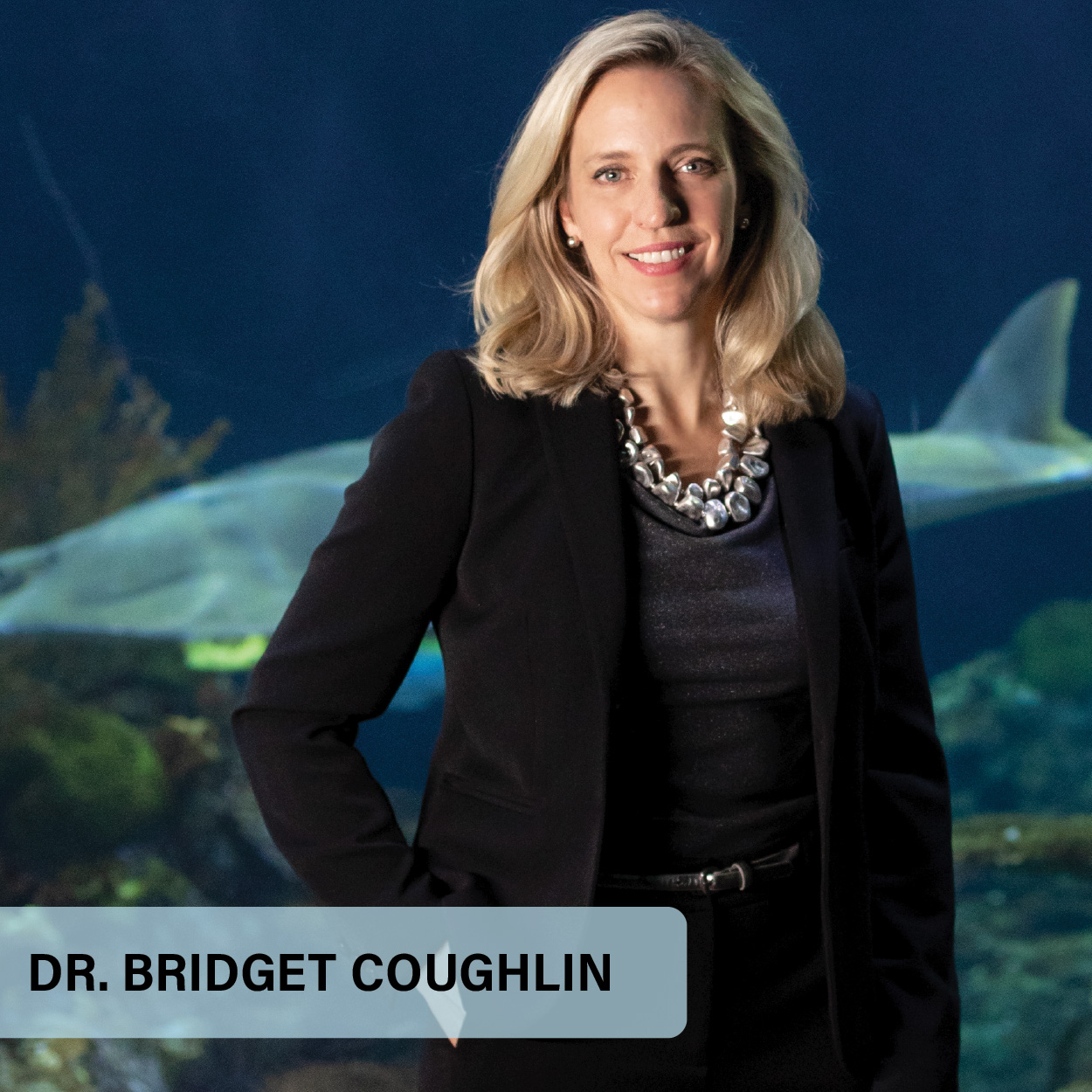 A Watershed Moment: Shedd Aquarium Celebrates Momentum for its Strategic Plan and for Chicago
